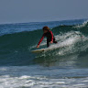 Meet your Posher, Griffin